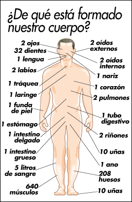 http://markoelgueta.files.wordpress.com/2007/07/147415826max-cuerpo.gif