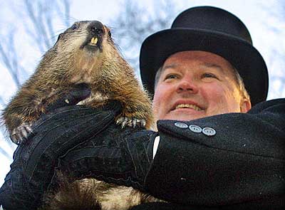 http://nocheslucidas.files.wordpress.com/2009/01/marmota-phil.jpg