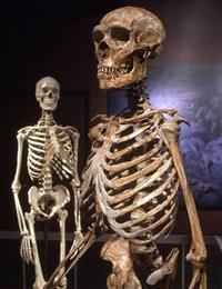 Los humanos modernos tuvieron sexo con los neandertales