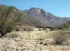 Namibia_Damara_Brandberg_Tsisab_2.JPG (109898 bytes)