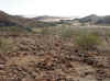 Namibia_Damara_Brandberg_Tsisab_StoneCircle_1.JPG (103565 bytes)