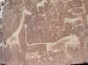 Namibia_Damara_Twyfelfontein_15.JPG (138055 bytes)