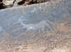 Namibia_Damara_Twyfelfontein_23.JPG (139316 bytes)