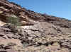Namibia_Karas_Warmfontein_GurusRiver_2.JPG (123697 bytes)