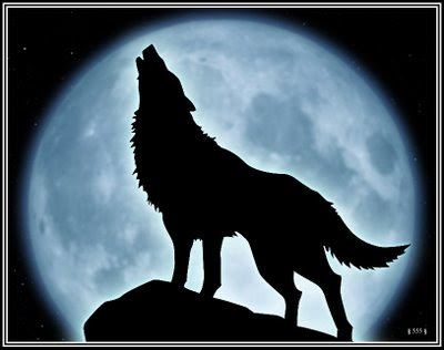 http://2.bp.blogspot.com/_A27MrruE65Y/R7-73Wx_ByI/AAAAAAAABDM/t8JoB0RsEIM/s400/LoboyLunaLlena30-06-07.jpg