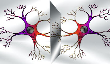http://4.bp.blogspot.com/_ITqERo1sBEQ/R2gR99CmUYI/AAAAAAAAAGU/Irju3_DAi4Y/s400/ciencia_0049.jpg