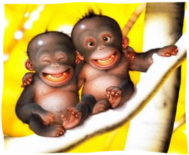 http://4.bp.blogspot.com/_qwChS8irafc/SAOJicvB7pI/AAAAAAAAAOQ/7tyU2SZ7Fmo/s400/mono.jpg