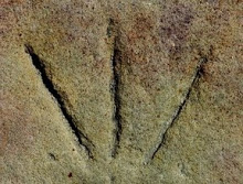 http://4.bp.blogspot.com/_sq8mWFlCWsI/R7n-R03NjuI/AAAAAAAAASg/KMf9g0QDhdU/S220/templo+de+san+nicolas+s.+xlll,+soria+capital.jpg