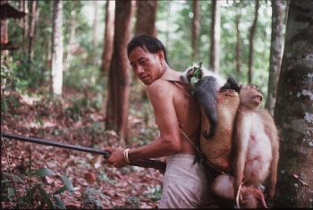 http://www.fondoindigena.org/apc-aa-files/notiteca/items/global__Penan_monkey.jpg