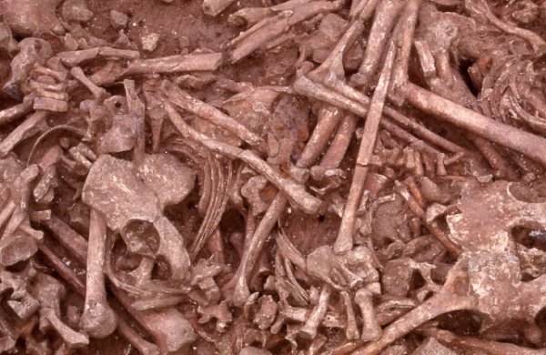 http://www.diffusion.ens.fr/archeo/photostock/atfolder.2005-04-11.9263913825/20050217030209.jpg