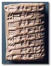 MS 1686