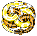 Avatar de Usuario