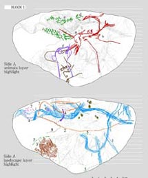 Dibujos de la fauna y el mapa. /J.H.,E.