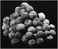Fig. 30a-b. An Assyrian slinger depicted in the relief and slingstones from Lachish
