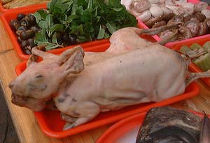 http://www.granjasymataderos.org/imagenes/foto-carne-perro-china.jpg