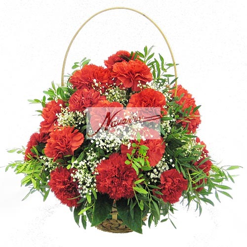 http://www.floristeriasnavarro.com/images/cestitaclavelrojocopia.jpg