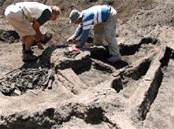 Excavaciones Tambora