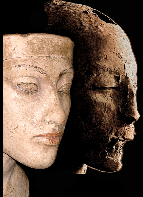 Nefertiti KV35 Comp (Mummy 61072)