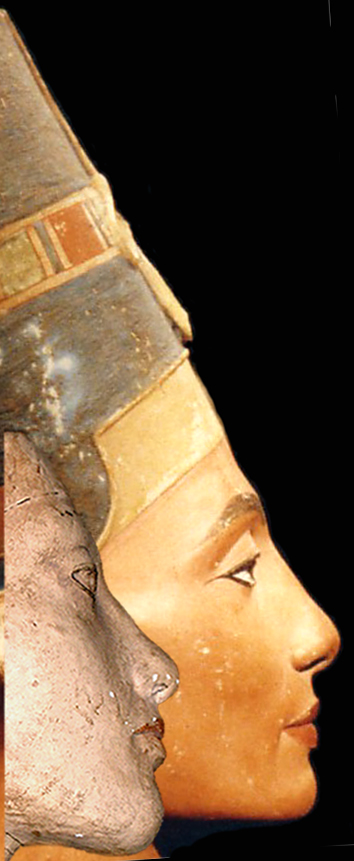 Nefertiti Faces Aligned