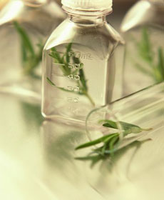 http://www.americanlifestyle.com/products/eazol1.jpg