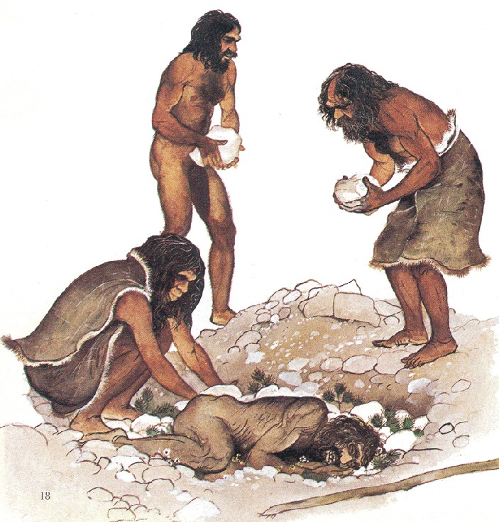 http://web.educastur.princast.es/proyectos/grupotecne/archivos/investiga/neanderthal2006.jpg