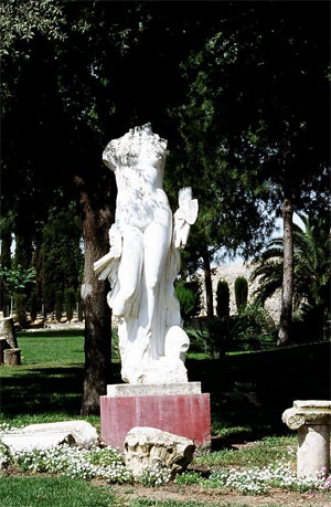 Venus