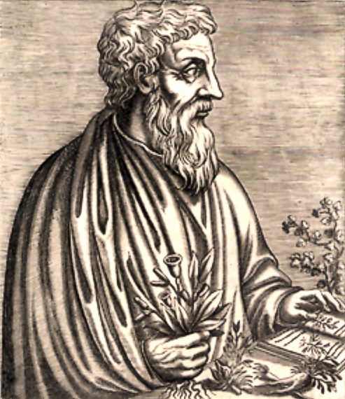 Archivo:Dioscorides01.jpg