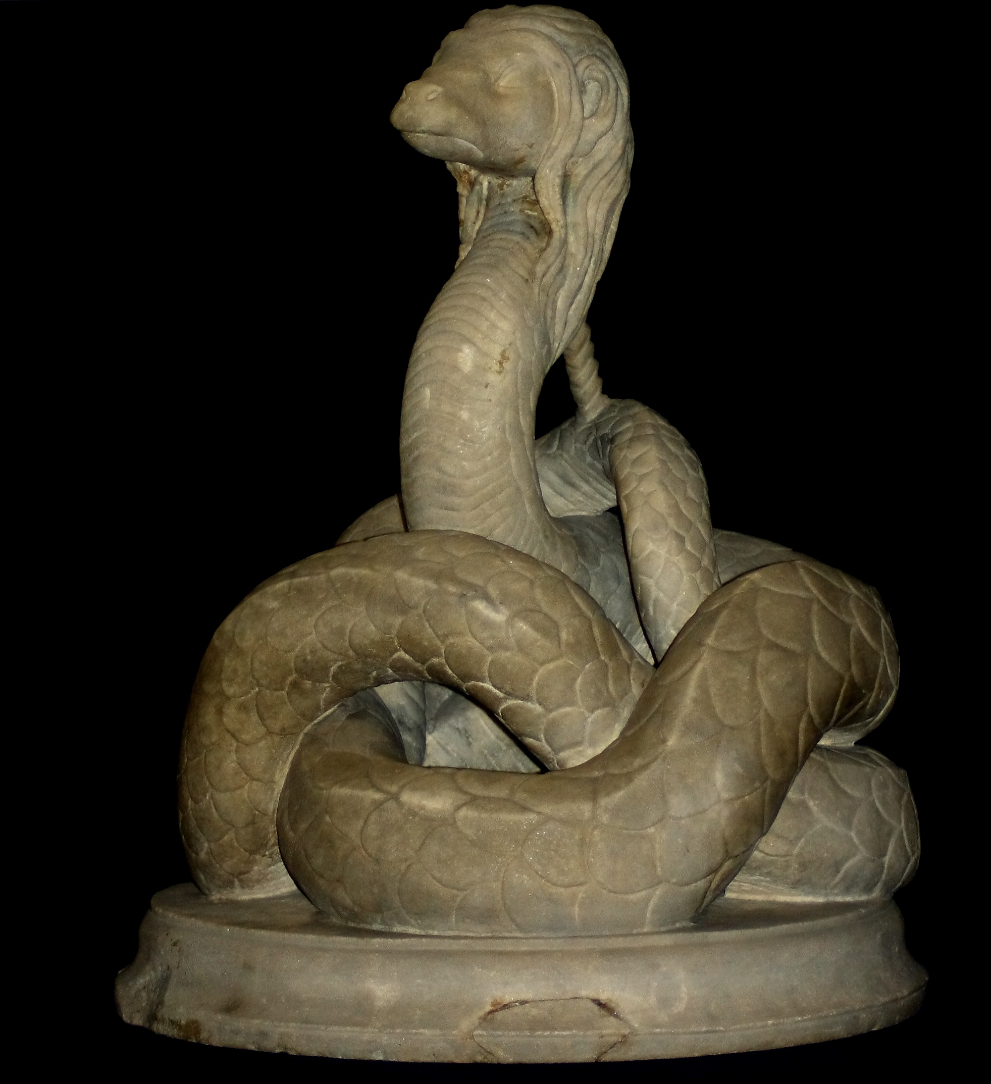 http://upload.wikimedia.org/wikipedia/commons/c/c8/Glycon.JPG