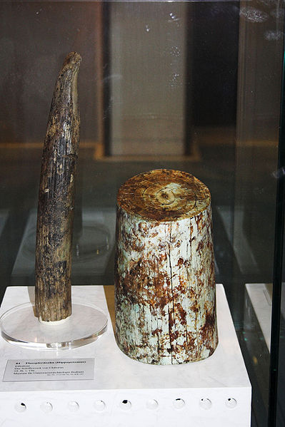 File:Uluburun12.jpg