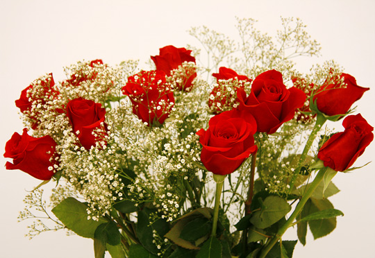 http://www.infoflor.es/wp-content/uploads/ramo-de-rosas-rojas1.jpg