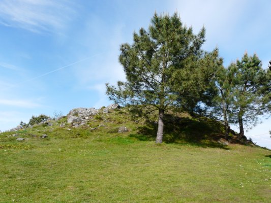 P1000365
